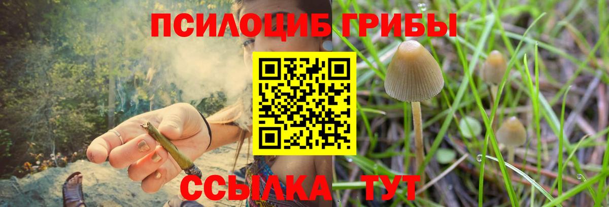Галлюциногенные грибы GOLDEN TEACHER  Вход с VPN  Псилоцибиновые грибы прущие грибы  Фурманов 